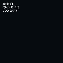 #050B0F - Cod Gray Color Image